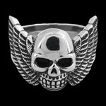 Click for larger view