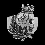 Click for larger view