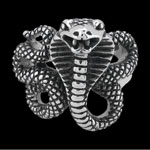 Click for larger view